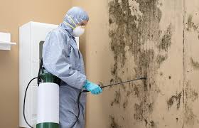 Professional Mold Removal in Clovis, CA